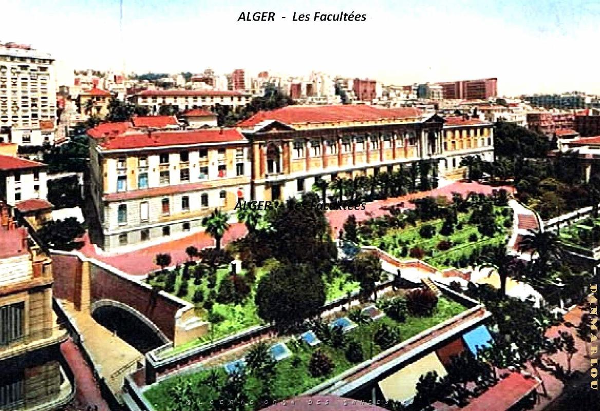 Alger - Facultees.jpg